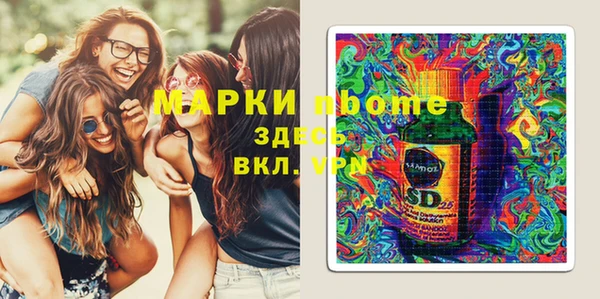 бошки Бородино