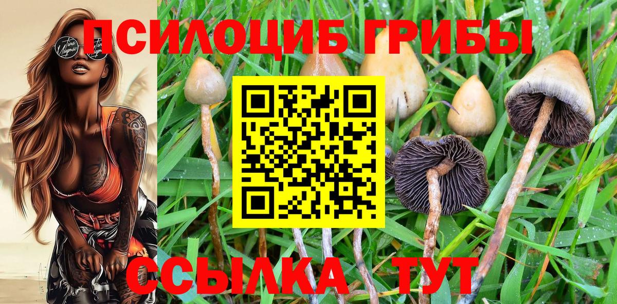 Галлюциногенные грибы прущие грибы Буйнакск