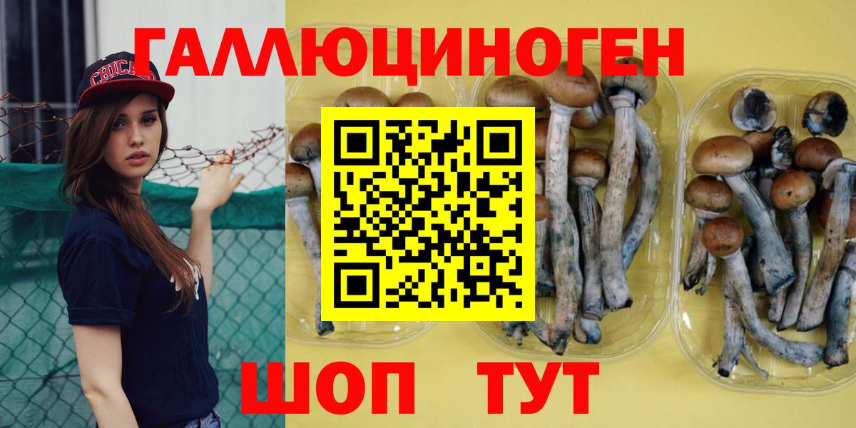 Галлюциногенные грибы Magic Shrooms  Вход с VPN  Буйнакск  Псилоцибиновые грибы MAGIC MUSHROOMS 